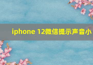 iphone 12微信提示声音小